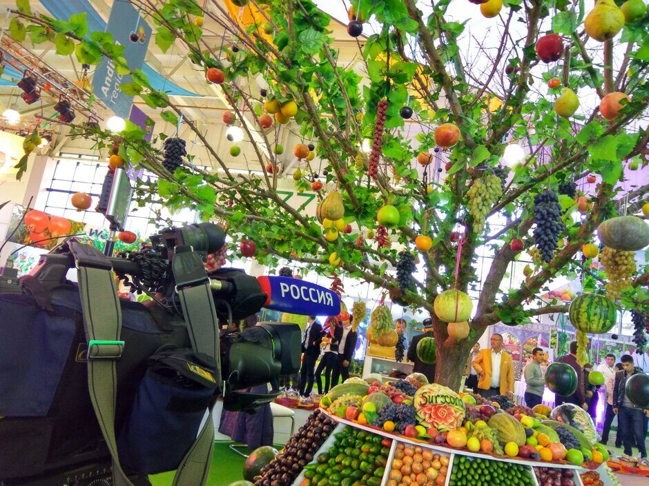 img_20161108_141339_hdr